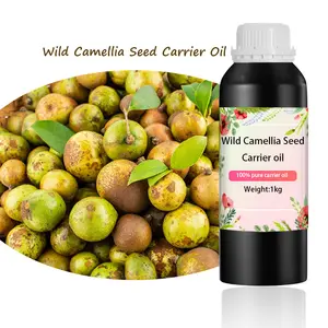 Olio essenziale di 100% puro per la cura della pelle di camelia selvatica olio da massaggio di Base di qualità cosmetica alla rinfusa oli produttori