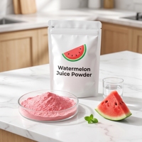 Poudre de jus de pastèque 100% pure et naturelle, sans additifs ni supports, pour smoothies, glaces, pâtisseries, qualité alimentaire, vente en gros