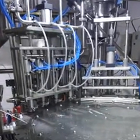 Acepack CE-gecertificeerde FC-4 staande retort spout pouch vul- en afsluitmachine voor dranken en dagelijkse chemicaliën