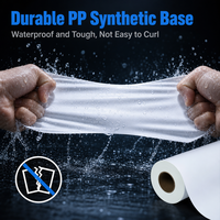 Autocollant en PP mat résistant aux déchirures, imperméable, auto-adhésif, rouleau de papier synthétique pour la fixation de panneaux publicitaires