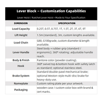 Palans à levier manuels APOLLO 750 kg 1,5 m avec élingue à chaîne, protection IP55 pour la construction et le levage de charges