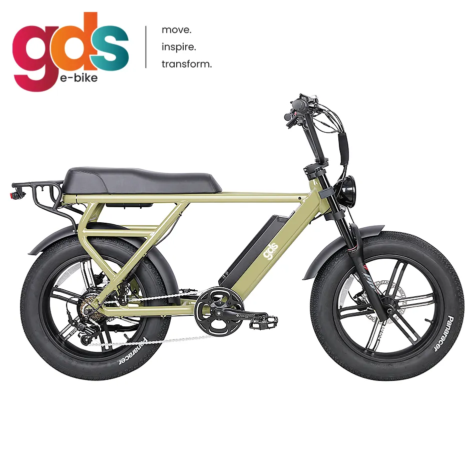 GDS Ebike M050 Fett reifen Elektro fahrrad Super Biciclett Elettr 73 Bici Electrica E Bike Fiets E Mountainbike MTB