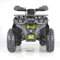 Tao Motor VTT 200cc Quad de Ferme VTT et UTV Buggy Voiture Trike 4x4