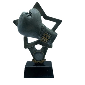 Meilleure vente, vente en gros, Design personnalisé, bon marché, haute mode, trophée de boxe en récompense (boxe) - Product Image 3