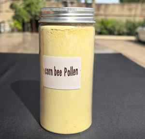 Polen de Camelia con Pared Celular Rota, Polen de Maíz, Polen de Abeja Orgánico de Grado Alimenticio Natural, Mejor Precio en Venta - Product Image 3