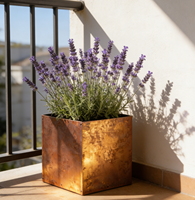 Jardinière carrée minimaliste en acier Corten, moderne et durable, 72L, pour balcon, plantes succulentes et vertes