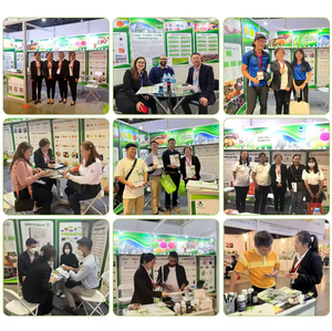 DL-METIONINA Metilmetionina Cloruro <span class=keywords><strong>di</strong></span> Solfonato Vitamina U in Polvere 98% CAS3493-12-7/63889-27-0 - Product Image 4