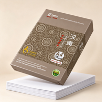 Papel de Copia A4 Premium Popular al por Mayor, 75 g/m², Blanco, Calidad Confiable para Instituciones Educativas y Uso Diario en Oficinas