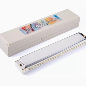 Harmonica polyphonique à 24 trous en Do, harmonica pour enfants, harmonica pour étudiants débutants, instrument pour adultes - Product Image 2