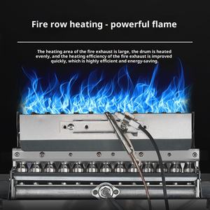 Nouvelles situations de grilles de noix automatiques pour les noix et les graines d'arachide, grilles de noix entièrement automatiques, maïs à gaz ou électrique - Product Image 3