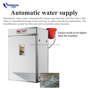 Incubadora de Aves de Corral Comercial Automática Completa, Económica, con Capacidad para 352 Huevos - Product Image 4