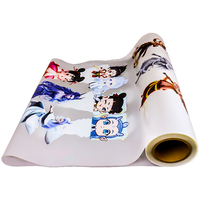 Tiansheng 11.8 "X 328ft DTF Film de transfert avec revêtement double face à base d'eau Film DTF pour imprimante A3 DTF (taille A3)