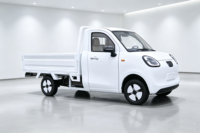 Mini pick-up électrique avec benne, camion électrique 4 roues pour adultes, pour livraison, logistique agricole et urbaine, 3000W