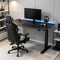 Bureau de jeu réglable en hauteur à double moteur de qualité professionnelle avec boîte à câbles escamotable et éclairage RGB
