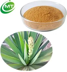 Factory supply organic yucca schidigera extract 60% Sarsaponin