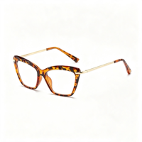 Lunettes anti-lumière bleue rétro SM2500, monture PC unisexe avec accents métalliques dorés
