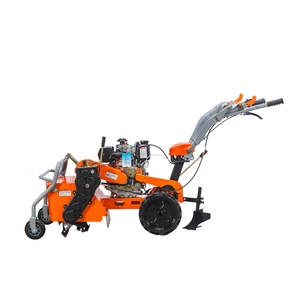 Broyeur d'herbe agricole haute productivité avec moteur diesel 3,5 kW, largeur <span class=keywords><strong>de</strong></span> travail <span class=keywords><strong>de</strong></span> 50 cm, avec lanceur <span class=keywords><strong>de</strong></span> secours - Product Image 2