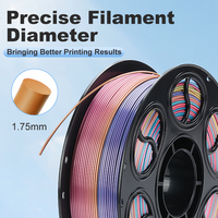 Filamento PLA Seta per Stampa 3D, Effetto Gradiente Bicolore Personalizzabile per Modelli Artistici Domestici - Produttore