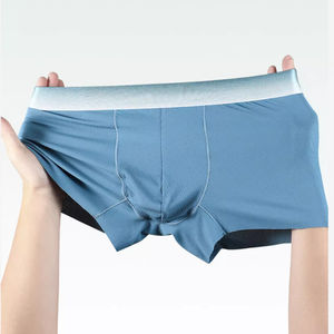 Venta al por mayor de ropa interior breve para hombre Color degradado logotipo personalizado pretina maletero bolsa separada deporte hielo seda Nylon hombres bóxer corto - Product Image 3