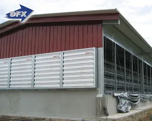 Qingdao Director cheap supplier prefabricated steel poultry farming chicken barn shed for Philippines