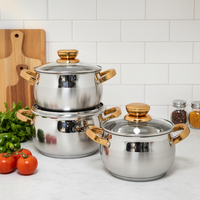 Ensemble de casseroles modernes en acier inoxydable 6 pièces avec couvercle en verre et base multicouche pour cuisinières à gaz et à induction