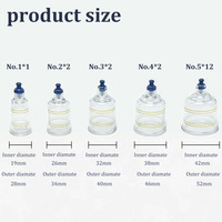 Kit professionnel de 19 pièces en PC écologique certifié de classe I pour la thérapie par ventouses et la relaxation myofasciale, avec pompe et outils de Hijama