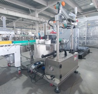 Ligne d'emballage automatique de bouteilles en verre et de cartons de tabac en acier inoxydable LWT contrôlée par PLC avec système de palettisation