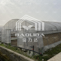 Betaalbare prijs Tuin Natuurlijk Gegalvaniseerd Staal Frame Tunnel Poly PE Folie Enkelspan Kas te Koop