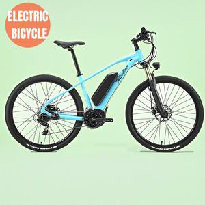 Nouvelle <span class=keywords><strong>Moto</strong></span> Électrique Tout-Terrain Chinoise 300W 36V 10Ah à Double Moteur et Suspension, Prix Abordable - Product Image 5