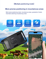 Dispositif de suivi Gps 4G pour chameau avec système de charge solaire Animal longue portée Movement Bétail Mouton Tracker Mini Chip Pig Locator