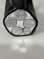 Kabel Daya Tegangan Rendah Multi Inti Aluminium YJLV YJLV22 VLV Berisolasi XLPE Berlapis PVC 0.6/1kV Penjualan Langsung Pabrik