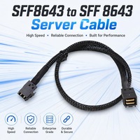 Cable de Almacenamiento para Centro de Datos con Interfaz de 36 Pines SFF-8643, Impedancia de 100 Ohmios, Control de Impedancia, Doble Blindaje de Lámina de Aluminio