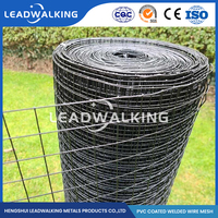 Grillage soudé carré à prix d'usine, galvanisé à chaud, revêtu de PVC, haute résistance à la traction, durable, pour poulaillers de jardin