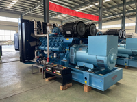 Skid-Montiertes 30kW Biogas-Generatorset Kompaktes Design für Abgelegene Gebiete & Netzunabhängige Erneuerbare Energieanwendungen