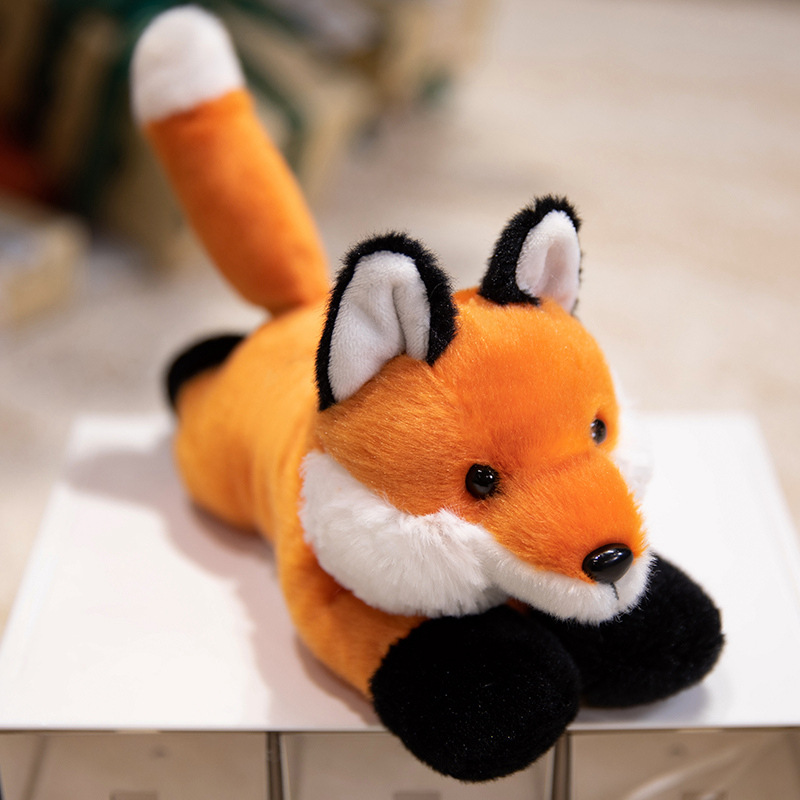 renard