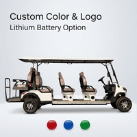 Carrito de Golf Eléctrico de Alta Gama, 100 KM de Autonomía, 8 Plazas, Neumáticos Todoterreno de 14 Pulgadas, Motor Asíncrono de CA de 4.0KW, Batería de Litio