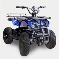 Voiture tout-terrain électrique homologuée pour la route, fabriquée à Guangzhou, pour les dunes, la plage et les parcs d'aventure, avec certification CE