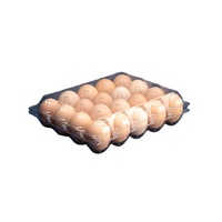 Boîte à œufs en plastique PET à 20 compartiments avec trous, emballage jetable recyclable pour nouilles et sushis, plateau transparent personnalisable