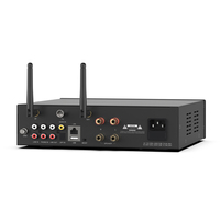 A100 100W * 2 güç amplifikatörü mikrofon girişi Internet FM radyo sistemi ev sineması