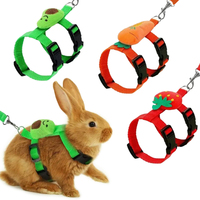 Konijnenkattenharnas-riemset Verstelbare gespsluiting Fruit Pluche ornament Huisdierriem Buiten wandelen Kleine dieren Fretten
