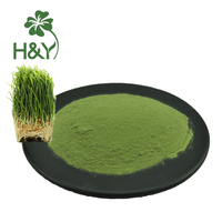 Herbe d'orge Poudre d'herbe d'orge verte Poudre de jus d'herbe d'orge