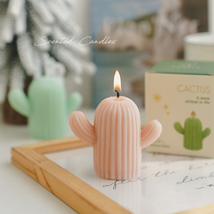 Nouvelles bougies décoratives en forme de cactus vert, esthétiques, parfumées, <span class=keywords><strong>avec</strong></span> boîte de couleur luxueuse pour cadeaux de fêtes - Product Image 3