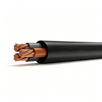 Cable Plano VCT de 3 Núcleos 450/750V IEC 57 con Aislamiento de PVC y Revestimiento de PVC 1.5-35mm² para Uso General en Tailandia