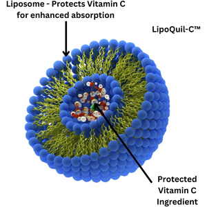 Oem C Vitamini Yumuşak Kapsülleri GDO'suz Formül Sağlıklı Görme Desteği En İyi Fiyat <span class=keywords><strong>A</strong></span> Vitamini Takviyesi - Product Image 3