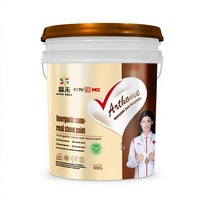 Peinture Nano Inorganique à Base de Pierre Véritable Silicone Acrylique pour Mur Extérieur Co...