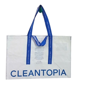 Bolsa de compras portátil de alta calidad con patrón de dibujos animados, bolsa de mercado tejida PP con muestra gratis para regalos al aire libre, OEM/ODM - Product Image 6