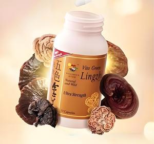 Chất lượng cao cấp thực phẩm Reishi Nấm chiết xuất bột 30% Polysaccharide 1% triterpene nhà máy bán buôn trong trống bao bì - Product Image 3