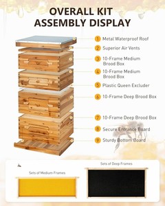 Kit completo de colmena de abejas de 40 marcos, caja de colmena de abejas de madera Langstroth con techo de metal para Apicultura - Product Image 3