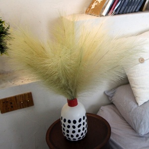 Fleurs artificielles d'herbe <span class=keywords><strong>de</strong></span> <span class=keywords><strong>pampa</strong></span>-Herbe <span class=keywords><strong>de</strong></span> <span class=keywords><strong>pampa</strong></span> artificielle <span class=keywords><strong>de</strong></span> haute qualité et herbe <span class=keywords><strong>de</strong></span> <span class=keywords><strong>pampa</strong></span> rouge pour une décoration élégante pour la maison et l'événement - Product Image 5