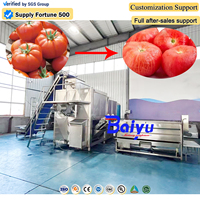 Baiyu Automatische Tomaten Stoomschilmachine voor Tomatensausconservenfabriek met Efficiënt Schilverwijderingssysteem